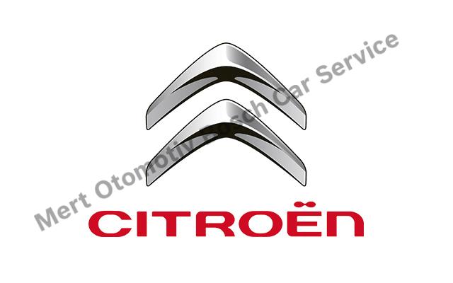 Kartal Citroen Servisi